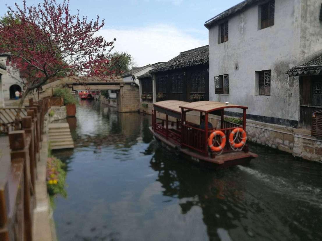 爱吃的鱼